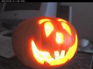 mrpumpkin2