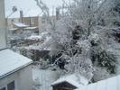 DSCF0001