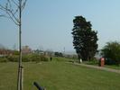 DSCF0019