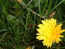 DSCF0016