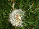DSCF0019