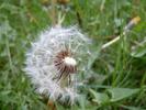 DSCF0020