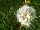 DSCF0021