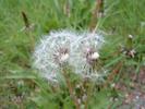 DSCF0024