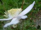 DSCF0026