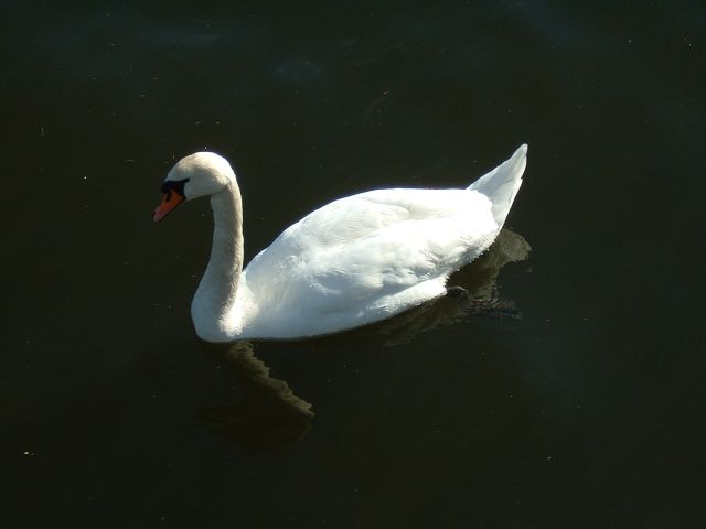 DSCF0051