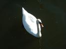 DSCF0048