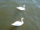 DSCF0049