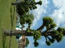 DSCF0003