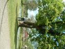 DSCF0010