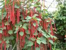 DSCF0033