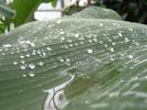 DSCF0041