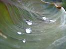 DSCF0001