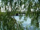 DSCF0017