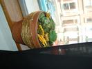 DSCF0004