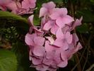 DSCF0017