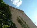 DSCF0024