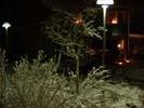 snow6