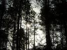 DSCF0027