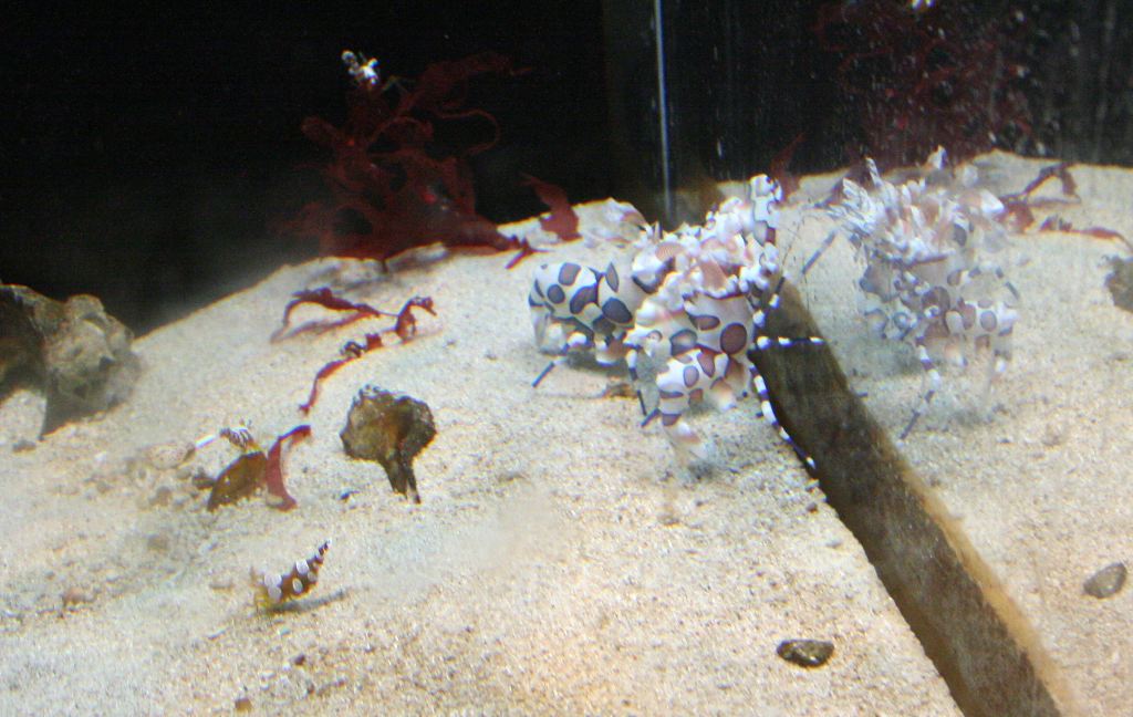IMG_3565.JPG