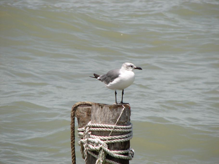 IMG_0089.JPG