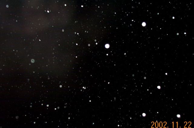 snowflakes5