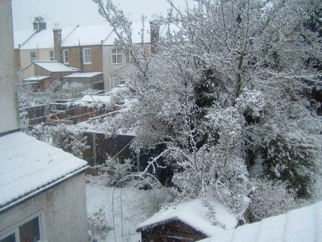 DSCF0001