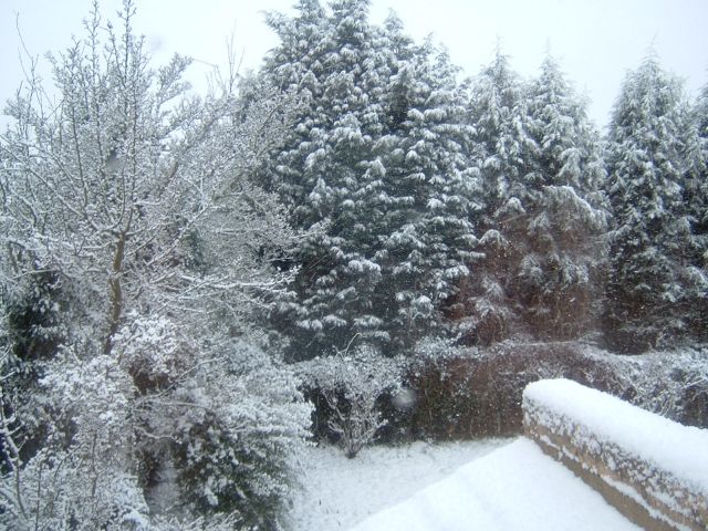 DSCF0002