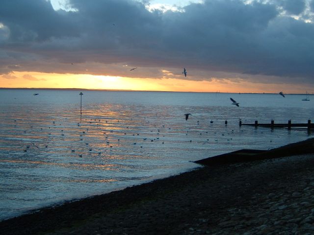 DSCF0046