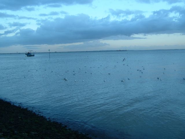 DSCF0049