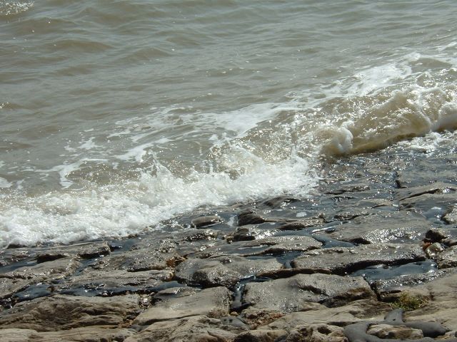 DSCF0007