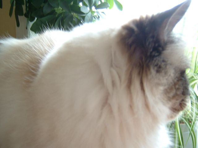 DSCF0005