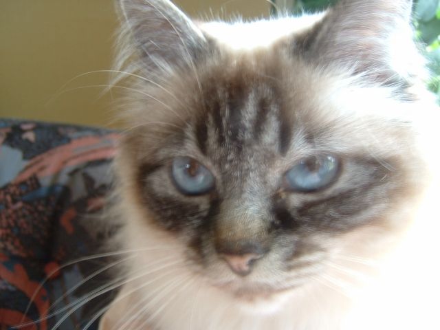 DSCF0007