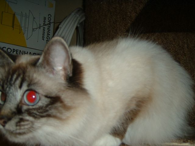 DSCF0026