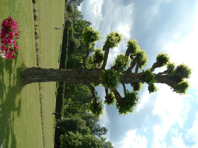 DSCF0004