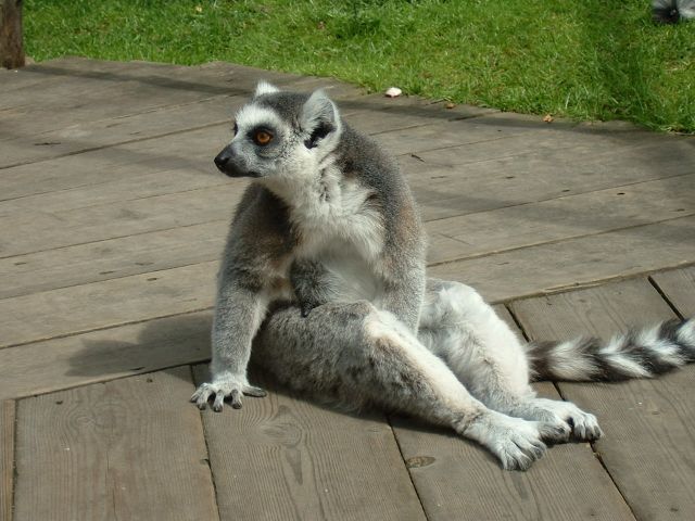 DSCF0020