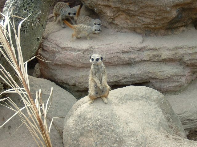DSCF0024