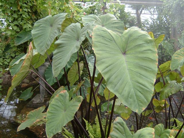 DSCF0035