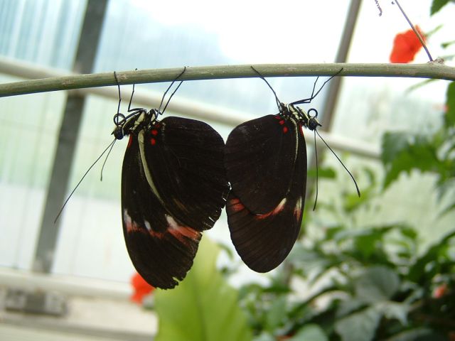DSCF0044