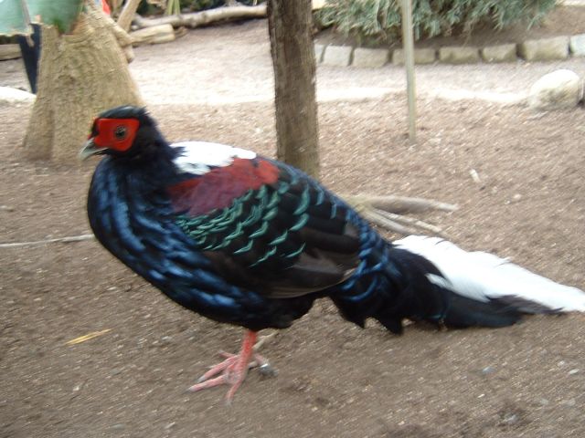 DSCF0057