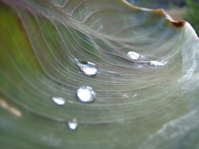 DSCF0001