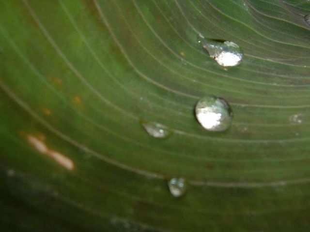 DSCF0004