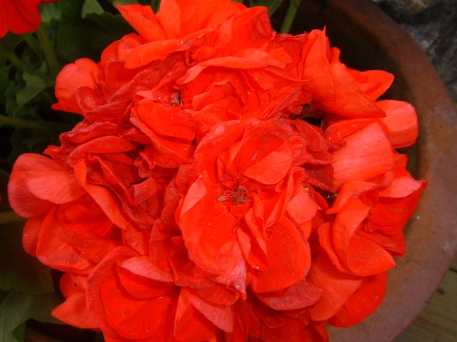 DSCF0018