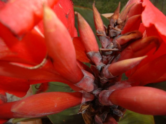 DSCF0024