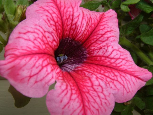 DSCF0034