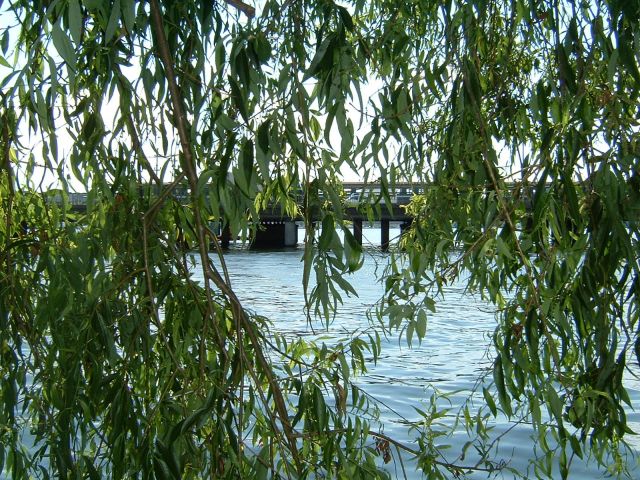 DSCF0017