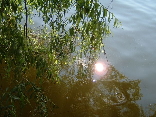 DSCF0018