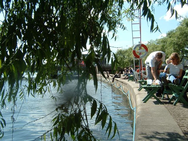 DSCF0019