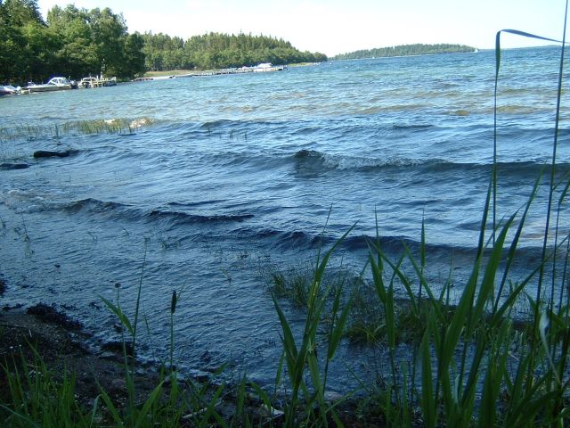 DSCF0042