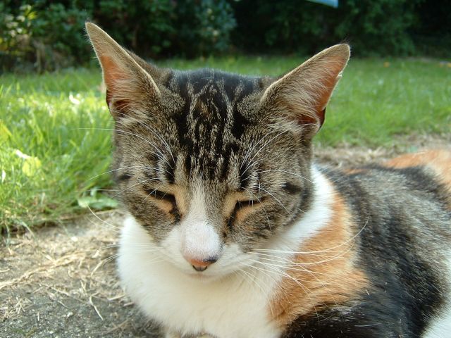 DSCF0014
